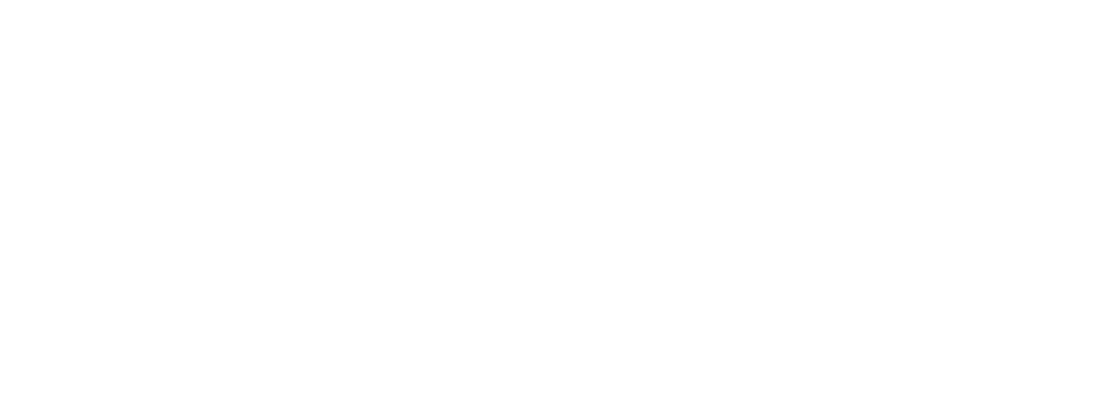 The United Nations flag with a refined UN emblem
